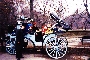 Central Park Carriage