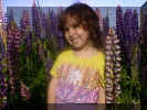 Jesse in the lupines. PEI, July, 2000